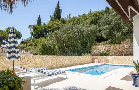 Pool and landscaped garden