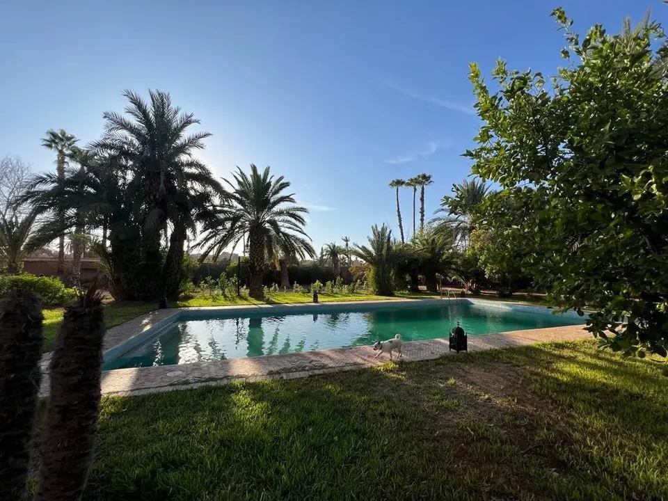 Villa avec piscine et jardin de palmiers, Marrakech