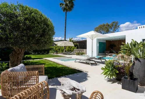 Garden lounge with olive tree and pool